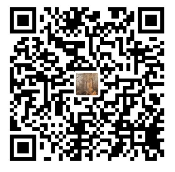 Alipay QR Code